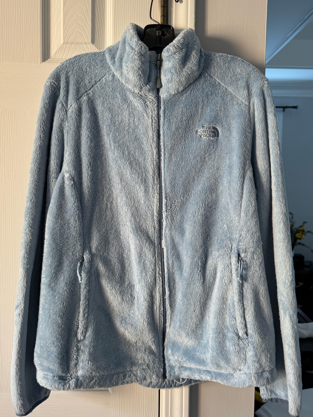 The North Face Women’s Pale Blue Plush Fleece Jacket